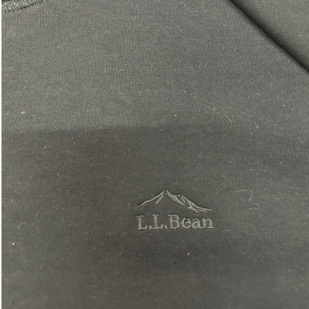 LL Bean Mens Slightly Fitted Hoodie Black Pullover 524835 Large Regular - Picture 2 of 6